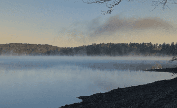 mist over a lake with wooded land in the background.